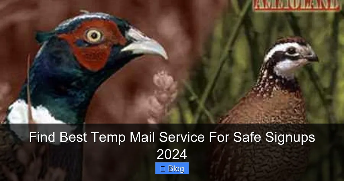 Find Best Temp Mail Service For Safe Signups 2024