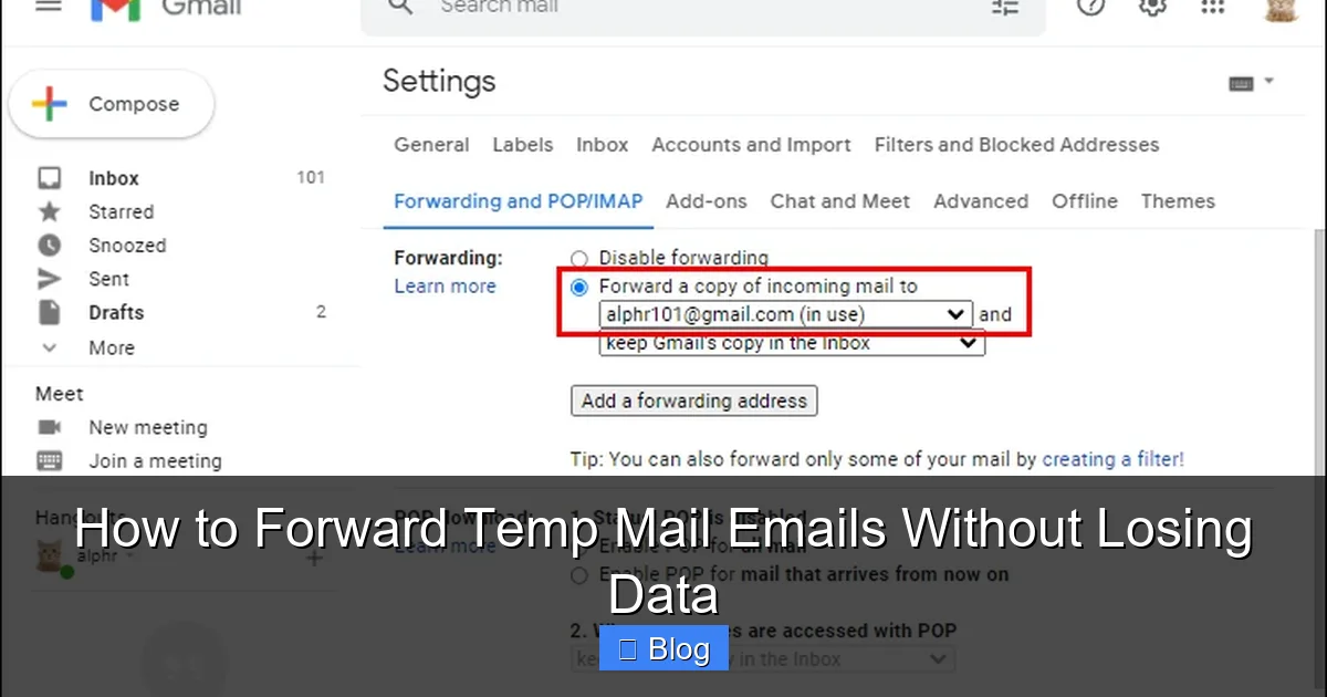How to Forward Temp Mail Emails Without Losing Data