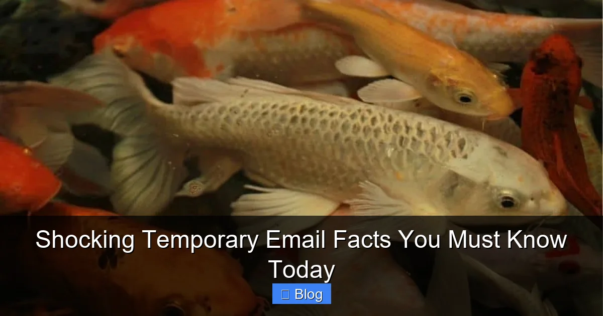 Shocking Temporary Email Facts You Must Know Today
