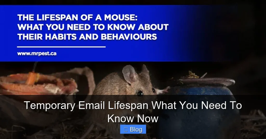 Temporary Email Lifespan What You Need To Know Now