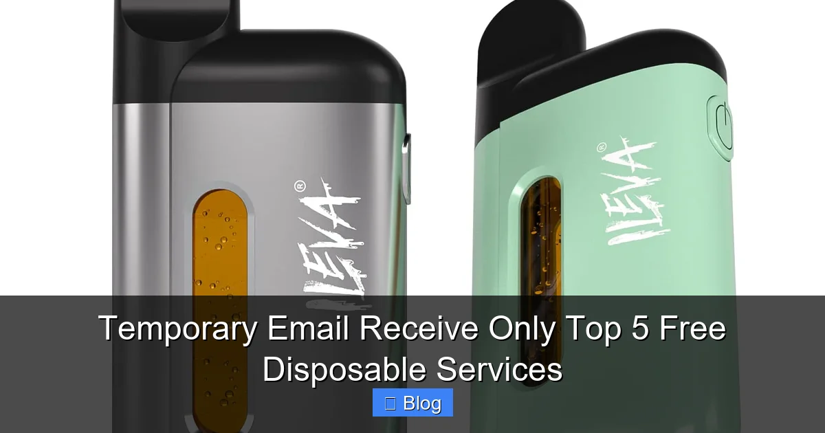 Temporary Email Receive Only Top 5 Free Disposable Services