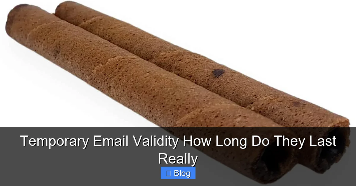 Temporary Email Validity How Long Do They Last Really