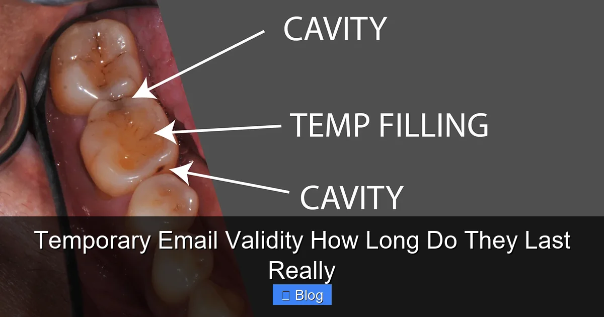 Temporary Email Validity How Long Do They Last Really
