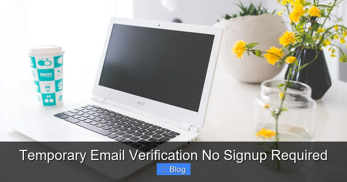 Temporary Email Verification No Signup Required