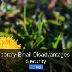Why Temporary Email Disadvantages Hurt Your Security